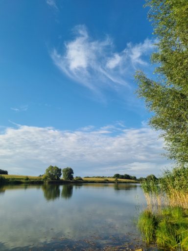 Badesee in der Nähe des House of Flow, Prignitz, sommerlicher Tag, Retreat Brandenburg