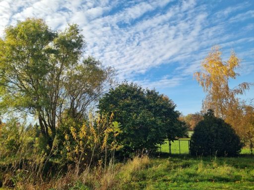 Grüner Garten mit Bäumen, Wiese und weitem Blick in die Natur hinter dem Seminarhaus.