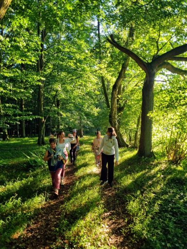 Waldweg in der Nähe des House of Flow, grün und verwunschen, Retreat Brandenburg
